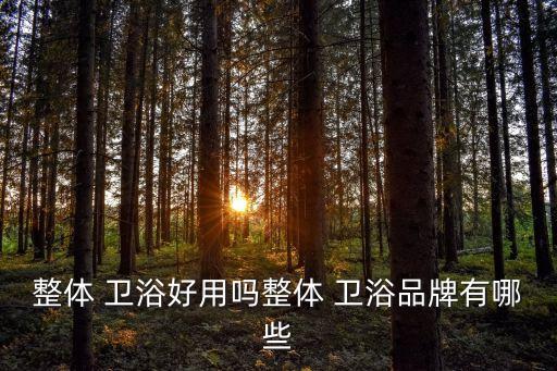 整體 衛(wèi)浴好用嗎整體 衛(wèi)浴品牌有哪些