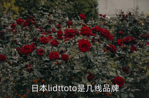 日本衛(wèi)浴品牌有多少,日本宮碟衛(wèi)浴是幾線品牌