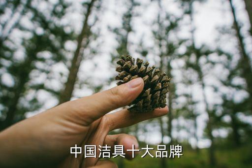 中國潔具十大品牌