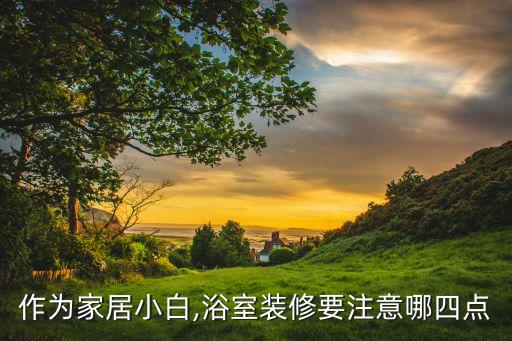 作為家居小白,浴室裝修要注意哪四點(diǎn)