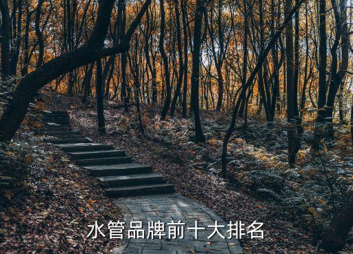 水管品牌前十大排名