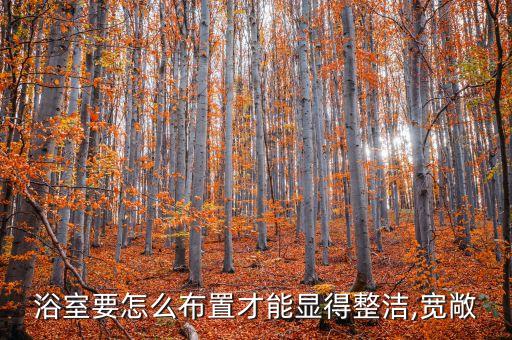 日式衛(wèi)浴分區(qū)圖片大全高清