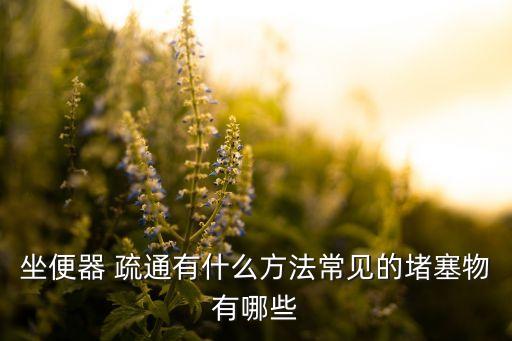 坐便器 疏通有什么方法常見的堵塞物有哪些
