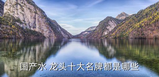 國產(chǎn)水 龍頭十大名牌都是哪些