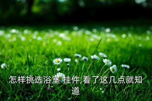 怎樣挑選浴室 掛件,看了這幾點就知道