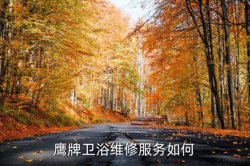 鷹牌衛(wèi)浴維修服務(wù)如何