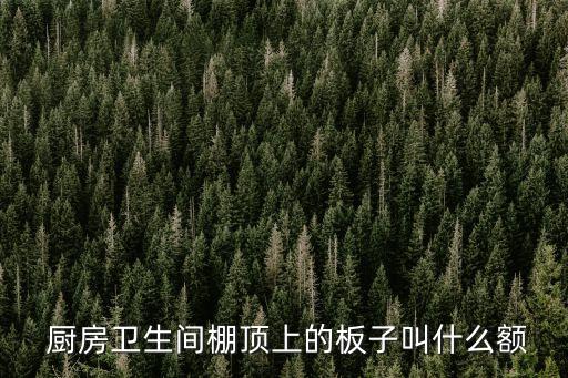  廚房衛(wèi)生間棚頂上的板子叫什么額
