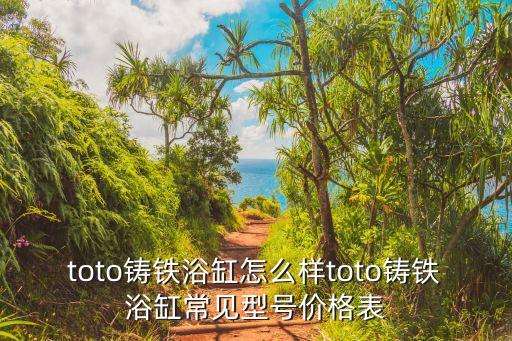 toto鑄鐵浴缸怎么樣toto鑄鐵浴缸常見型號價格表