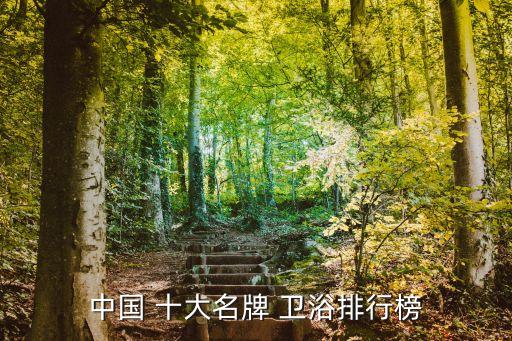 中國 十大名牌 衛(wèi)浴排行榜