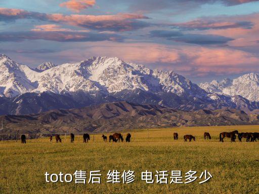 toto售后 維修 電話是多少