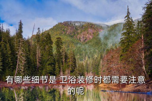 有哪些細(xì)節(jié)是 衛(wèi)浴裝修時(shí)都需要注意的呢