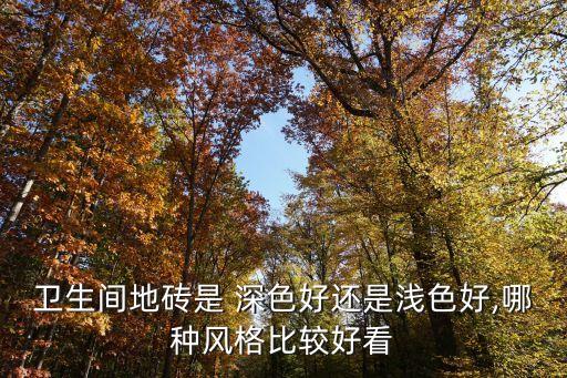 衛(wèi)生間地磚是 深色好還是淺色好,哪種風(fēng)格比較好看