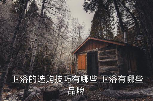  衛(wèi)浴的選購技巧有哪些 衛(wèi)浴有哪些品牌