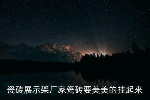 衛(wèi)浴專區(qū)展架圖片高清圖,衛(wèi)浴馬桶展架圖片大全