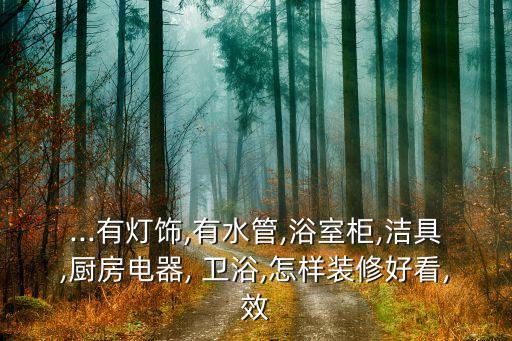 ...有燈飾,有水管,浴室柜,潔具,廚房電器, 衛(wèi)浴,怎樣裝修好看,效