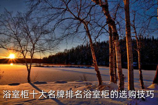 浴室柜十大名牌排名浴室柜的選購技巧