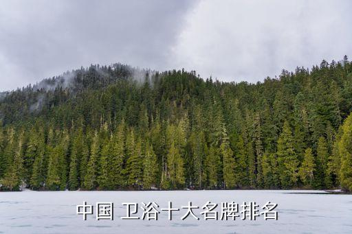 寧夏國際衛(wèi)浴國內(nèi)品牌排行榜,衛(wèi)浴國內(nèi)品牌排行榜前十名有哪些