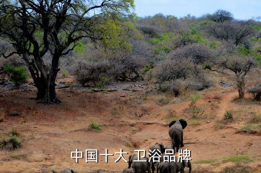 國(guó)產(chǎn)衛(wèi)浴有哪些品牌大全,衛(wèi)浴國(guó)產(chǎn)品牌排行榜前十名