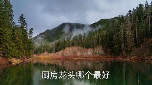 雷仕龍衛(wèi)浴花灑圖片,歐度衛(wèi)浴花灑價(jià)格及圖片