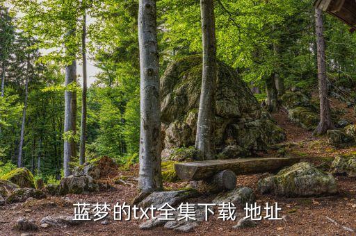 藍夢的txt全集下載 地址