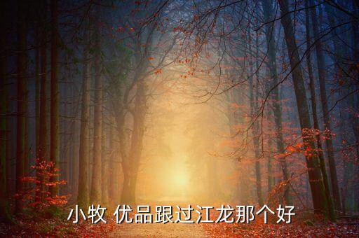  小牧 優(yōu)品跟過(guò)江龍那個(gè)好