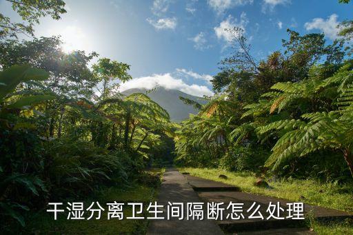 干濕分離衛(wèi)生間隔斷怎么處理