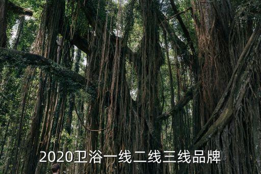 歐蒂莎衛(wèi)浴屬于幾線品牌