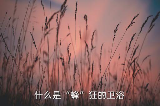 什么是“蜂”狂的衛(wèi)浴