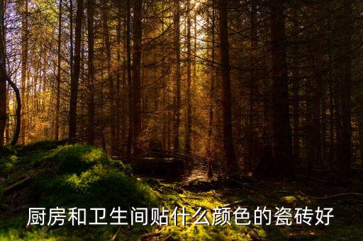 廚房和衛(wèi)生間貼什么顏色的瓷磚好