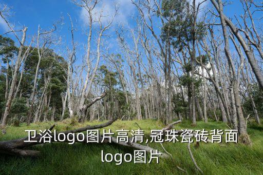 冠珠衛(wèi)浴logo圖片高清,冠珠瓷磚背面logo圖片