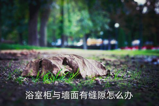 浴室柜與墻面有縫隙怎么辦