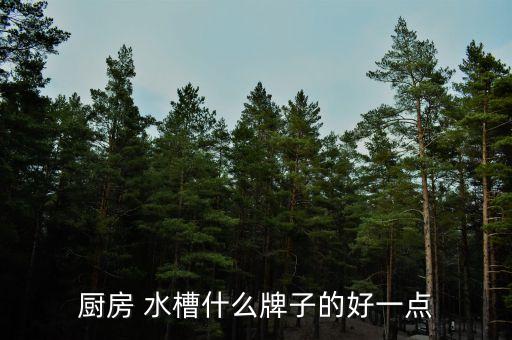 廚房 水槽什么牌子的好一點