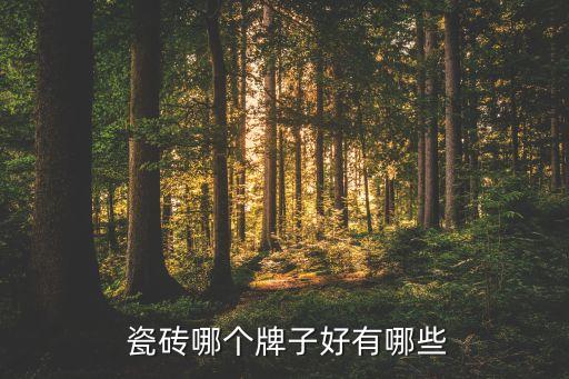  瓷磚哪個(gè)牌子好有哪些