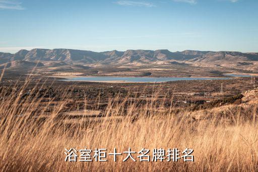 浴室柜十大名牌排名