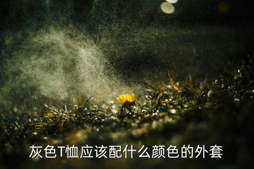灰色T恤應(yīng)該配什么顏色的外套