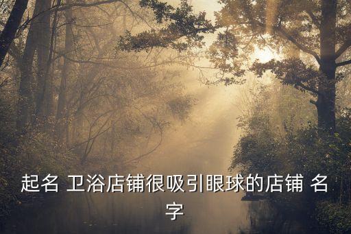 起名 衛(wèi)浴店鋪很吸引眼球的店鋪 名字