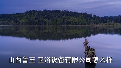 山西魯王 衛(wèi)浴設(shè)備有限公司怎么樣