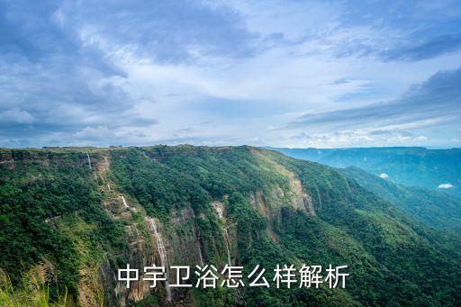  中宇衛(wèi)浴怎么樣解析