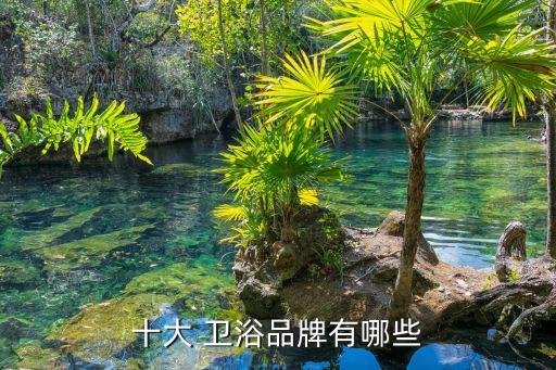 十大 衛(wèi)浴品牌有哪些