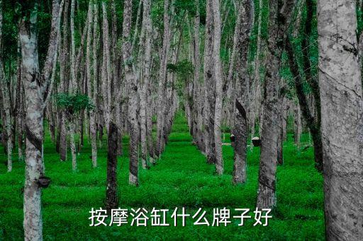 按摩浴缸什么牌子好