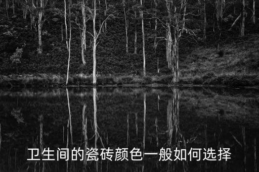 衛(wèi)浴地面花紋小清新圖片
