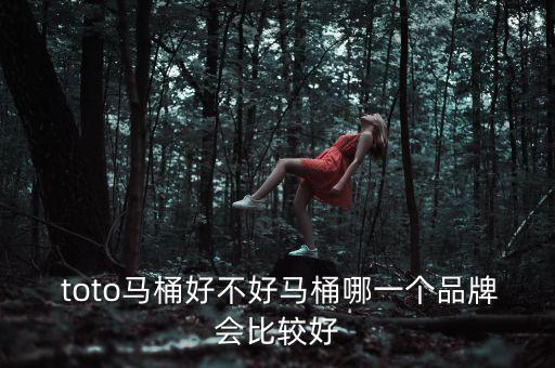  toto馬桶好不好馬桶哪一個(gè)品牌會(huì)比較好