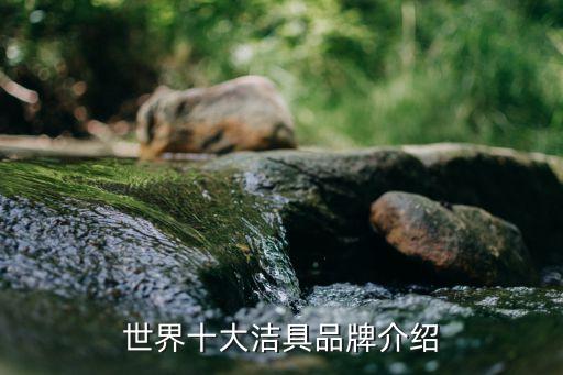 當代衛(wèi)浴品牌檔次排名前十,衛(wèi)浴排名前十的品牌有哪些 知乎
