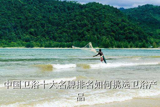 中國衛(wèi)浴十大名牌排名如何挑選衛(wèi)浴產(chǎn)品