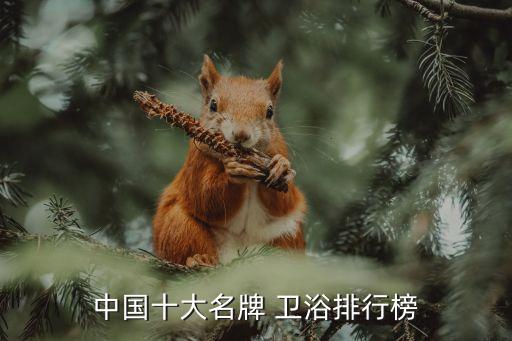 衛(wèi)浴高品牌有哪些,衛(wèi)浴排名前十的品牌有哪些