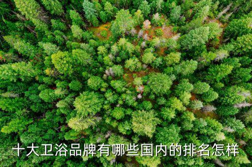 十大衛(wèi)浴品牌有哪些國(guó)內(nèi)的排名怎樣