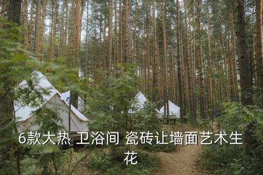 衛(wèi)浴瓷磚深色效果圖片欣賞,外墻瓷磚效果圖片欣賞