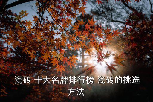 衛(wèi)浴十大品牌瓷磚裝修文案,瓷磚 衛(wèi)浴 全屋定制 十大品牌