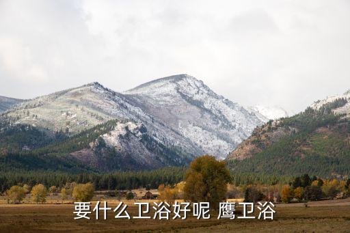 要什么衛(wèi)浴好呢 鷹衛(wèi)浴
