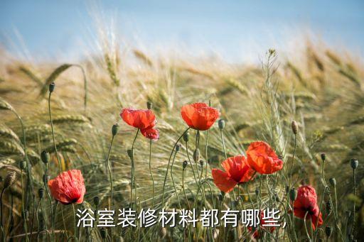 浴室裝修材料都有哪些,